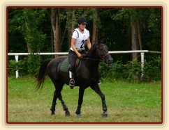 Carthago při opracování před crossem, všestrannost Pardubice 7.8.