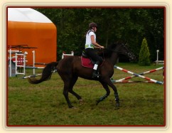 Arwen při opracování před crossem, všestrannost Pardubice 7.8.