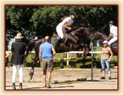 Carthago při opracování před parkurem, Klatovy 20.8.