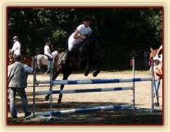 Carthago při opracování před parkurem, Klatovy 20.8.
