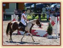 Vikina před startem parkuru, Klatovy 20.8.