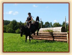 Carthago a seskok s kládou, Crossový trénink v Borové 29.8.