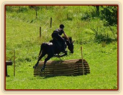 Carthago a skok přes bulfinch, Crossový trénink v Borové 29.8.