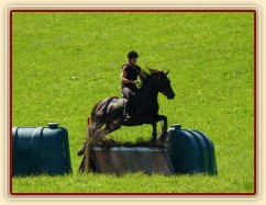 Carthago a skok přes áčko, Crossový trénink v Borové 29.8.