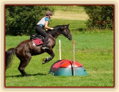 Arwen a skok přes "berušku", Crossový trénink v Borové 29.8.