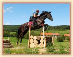 Arwen a skok přes metr dříví, Crossový trénink v Borové 29.8.