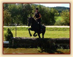 Carthago a seskok do vody, Crossový trénink v Borové 29.8.