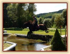 Arwen a seskok do vody, Crossový trénink v Borové 29.8.