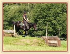 Carthago překonává schody na irské lavici, Crossový trénink v Borové 29.8.