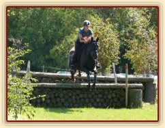 Arwen a dvojskok metr dříví, Crossový trénink v Borové 29.8.