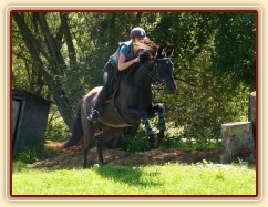 Arwen a výskok, Crossový trénink v Borové 29.8.
