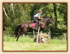 Arwen a skok přes kamenou zídku, Crossový trénink v Borové 29.8.