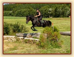 Carthago a seskok do jámy, Crossový trénink v Borové 29.8.