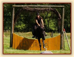 Carthago a průskok, Crossový trénink v Borové 29.8.