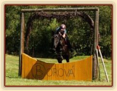 Arwen a průskok, Crossový trénink v Borové 29.8.