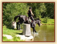 Carthago a seskok do rybníka, Crossový trénink v Borové 29.8.