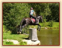 Arwen a seskok do rybníka, Crossový trénink v Borové 29.8.