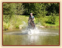 Arwen kluše vodou v rybníce, Crossový trénink v Borové 29.8.