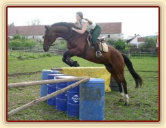 Skokový trénink doma