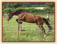 Skákání řady ve volnosti