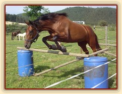 Skákání řady ve volnosti