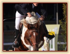 Vikina při parkuru v Martinicích, odskok nevyšel ideálně...