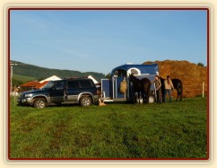 Závody všestrannosti v Borové, raní přípravy před drezurou...