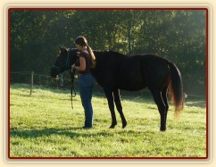 Závody všestrannosti v Borové, ráno před drezurou