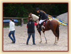 Vikina při dekorování v Trnové, získala 3. místo v soutěži Z na limitovaný čas