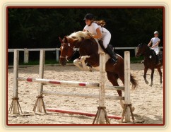 Vikina při opracování před parkurem, Trnová