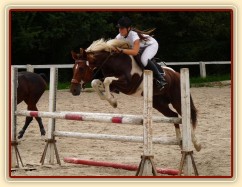 Vikina při opracování před parkurem, Trnová