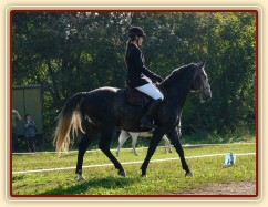 Rybíz před startem drezury, Starý Plzenec