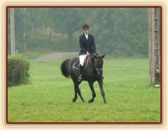 Carthago při opracování před drezurou, závody všestrannosti Humpolec