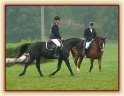 Carthago při opracování před drezurou, závody všestrannosti Humpolec