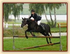 Carthago při opracování před parkurem, závody všestrannosti Humpolec