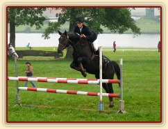 Carthago při opracování před parkurem, závody všestrannosti Humpolec