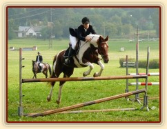 Vikina při opracování před parkurem, závody všestrannosti Humpolec