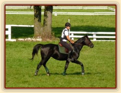 Carthago před startem crossu, závody všestrannosti Humpolec