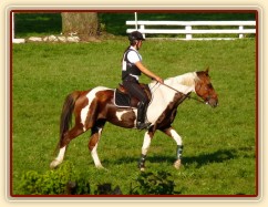 Vikina před startem crossu, závody všestrannosti Humpolec
