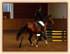 Bára při opracování před parkurem, Krutěnice