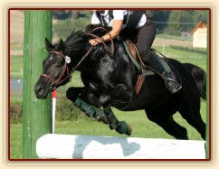 Carthago a průskok při crossu v Humpolci