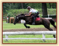Arwen při crossu v Pardubicích, všestrannost Z