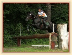 Carthago skáče přes trakénský skok při crossu v Pardubicích, všestrannost ZL