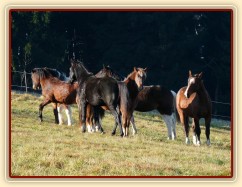 Očuchávání musí být důkladné:.-)