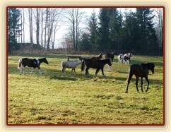 Pořád někam couráme:-)