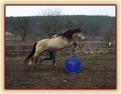 Parellistění ve volnosti, skok přez barel