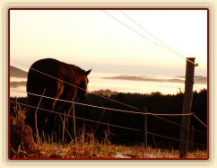 Ranní mlhy v údolí, východ slunce