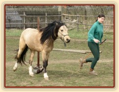 Parellistění ve volnosti