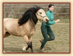 Parellistění ve volnosti