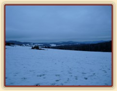 Koně při svítání. (Kvalita fotek je horší, bylo hodně málo světla, teprve svítalo...)